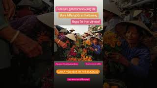 How Vietnamese celebrate Lunar New Year? Flower fest! Mekong Mums & marigolds!  @eastmeetswestfilm