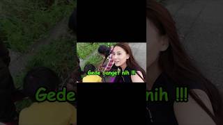 Download lagu DI JEPANG MANCING IKAN ASYIK BANGET❗️#shorts #lucu #trending #viral mp3 Download lagu DI JEPANG MANCING IKAN ASYIK BANGET❗️#shorts #lucu #trending #viral mp3