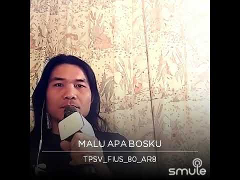 malu apa bos ku__Amat jeff__cover/Alfius elmiera