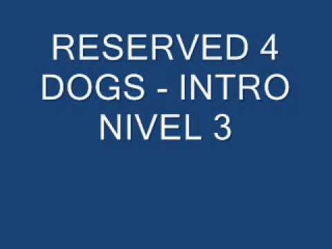 RESERVED 4 DOGS- INTRO
