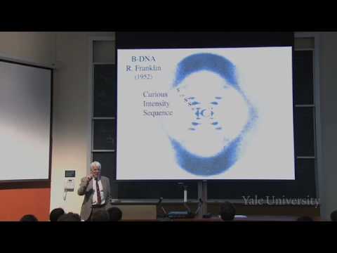 Freshman Organic Chemistry I