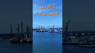 Regal Princess R730 penthouse balcony suite #bearpatrax #cruise #cruiseship