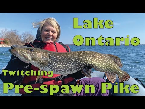 20240319 Lake Ontario Pre-spawn Pike