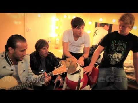 COULISSES du "GALA HERISSON 2010" (EXCLU HD)