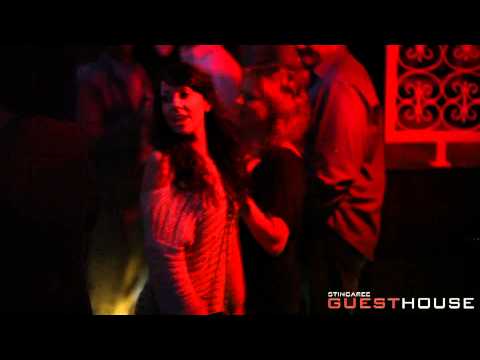 Miss Palmer LIVE at Stingaree