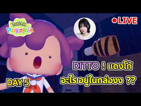 🔴 Pokémon Pokopia : 5 คืนนี้ ลุยแผนที่ ที่ 3 วอนไลฟ์อย่าบิน