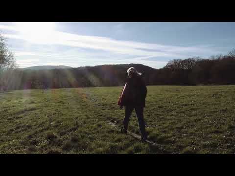 TAGEBUCHFILM KW 45, 2022 - Hawaii