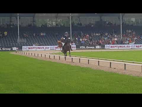 B-Finale Viergang V1