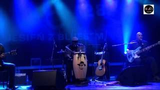 Big Daddy Wilson - Love Is The Key at Jesień z Bluesem 2012