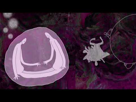 Codependent - EVOLSI (Visualizer)