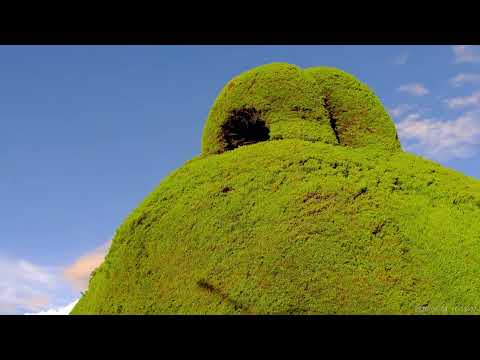 BOYACA 8 DE ENERO  2026  Nobsa, Topaga, Mongui, Tibasosa