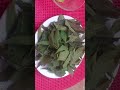 Dane Khatam Karne Ka Tarika Dane Kaise Khatam Kare Home Remedies For Acne