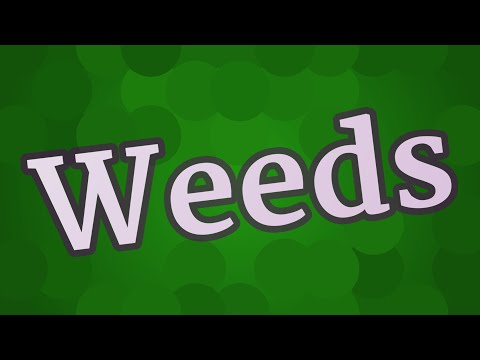 WEEDS pronunciation • How to pronounce WEEDS