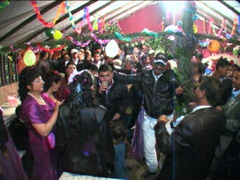 PERCEA MONDIALU si DANIEL UNIVERSALU la nunta la CETATE