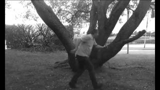 Dave's Asylum Chase.mov