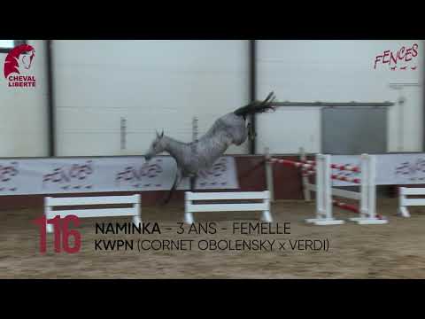 116 NAMINKA- Ventes Elite 2021