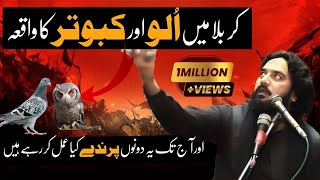 Download lagu The story of the owl and the pigeon in Karbala | Zakir Waseem Abbas Baloch mp3