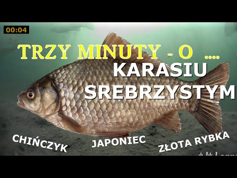 TRZY MINUTY O KARASIU  "JAPOŃCU "