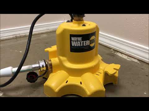 Wayne WaterBug water pump review and tips