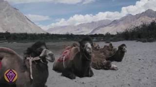 preview picture of video 'Nubra Valley - Shanti Travel'