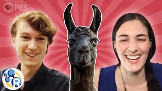 We Surprised a Llama Antibody Researcher With an Actual Llama
