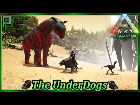 What does a Paracer and a Microraptor have in common? in Ark's The Underdogs 47