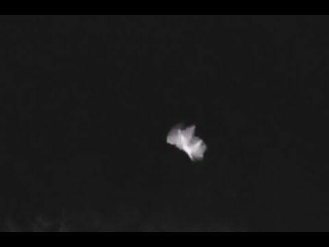 Caught On Camera! - Strange Flying Creature - Night Vision Security Cam Capture - Motion Detection