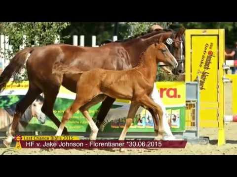 KN 20 SF v. Jake Johnson - Florentianer