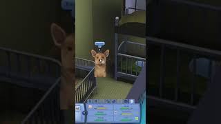 Sims 3 pets can exorcise possessed furniture 👻