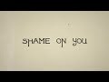 Skylar Grey Shame On You Lyric Video