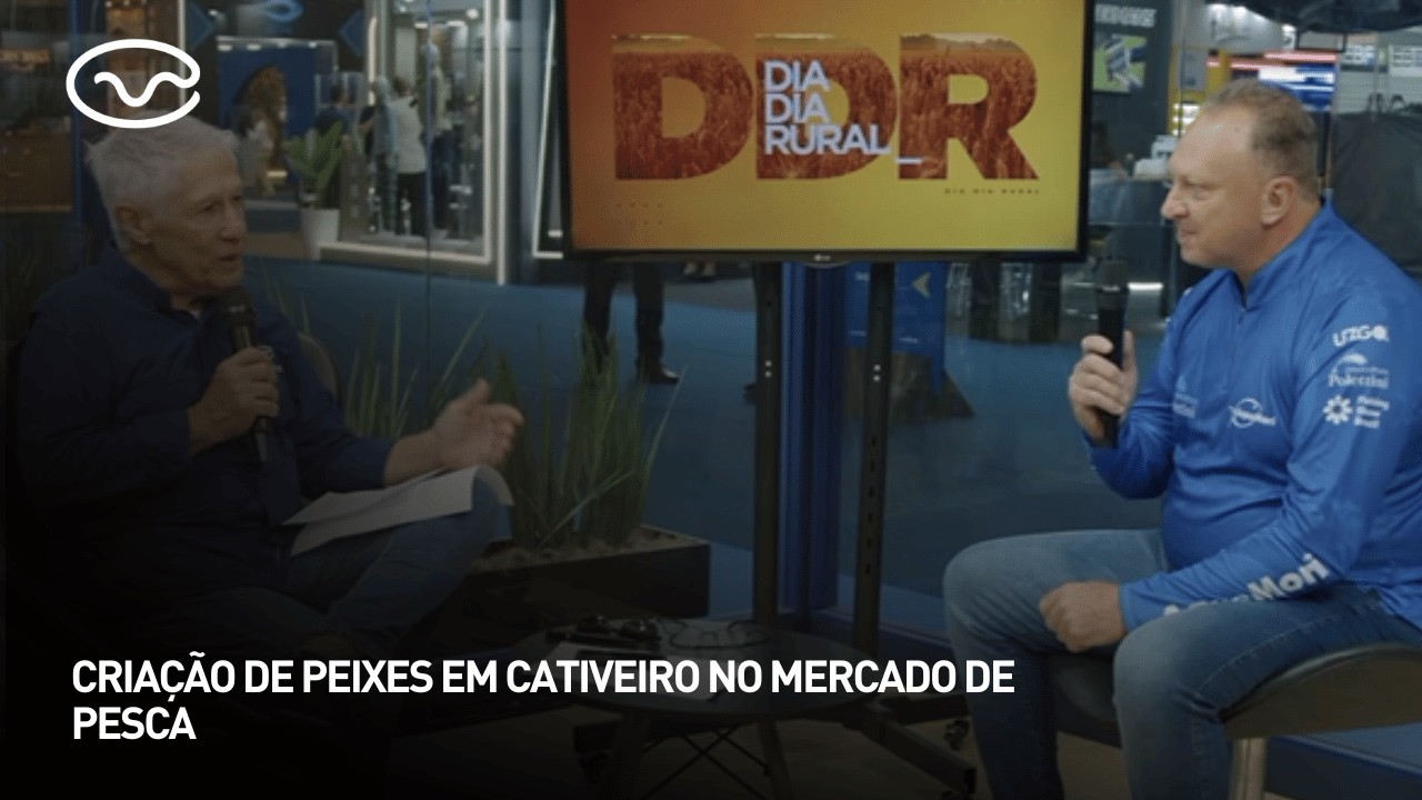 Criação de peixes em cativeiro no mercado de pesca