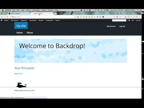 drush backdrop config workflow