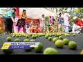 FULL EPISODE 4091 Nimbu Ke Liye Kyu Daude Gokuldhamvasi Taarak Mehta Ka Ooltah Chashmah
