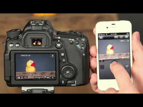 Canon 70D Beyond the Basics Training