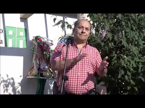 José Marques - "Feira da Ladra"