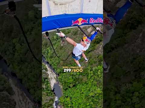 Monkey Bars Under A 216m Bridge 🤯