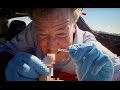 Ambulance Challenge | Top Gear | Series 22 | BBC