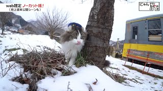 Vol.48「にゃん旅鉄道」久々のもぐもぐタイムにゃ！