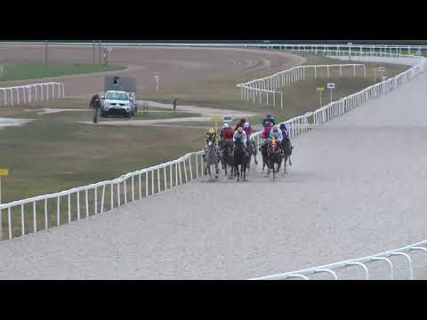 2018.10.21. 06. futam - KOLOSNÉMAI HENDIKEP (V.o.) (szintetikus pálya)