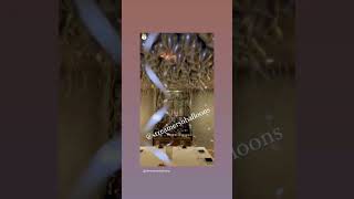 Adele's boyfriend "Rich Paul" surprised her after winning a Grammy  #adele #shorts