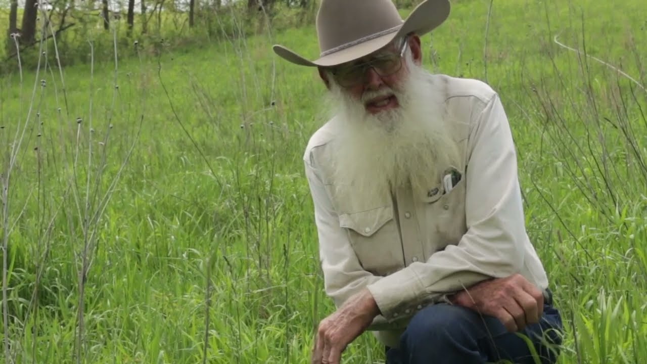 Why Did Fescue Replace Native Plants?