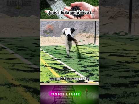 ปุ่ยสีดำ ในสนามหญ้าเทียม?