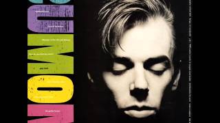 Momus - Lifestyles of the Rich and Famous