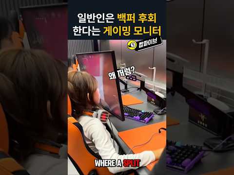 일반인은 백퍼후회한다는 그 대환장 모니터