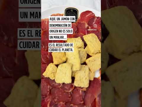 Miniatura del vídeo vertical 4