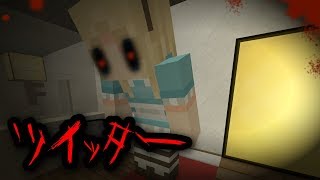 【マイクラホラー】意味がわかると怖い話【Twitterの動画】