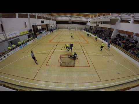 Pisaba - Cremasters 16.12.2016