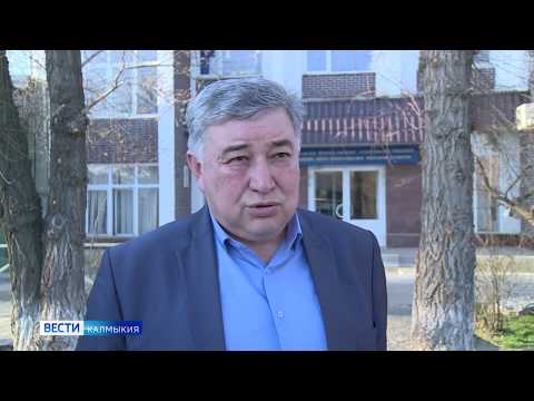 Всемирная организация здравоохранеия объявила пандемию коронавируса