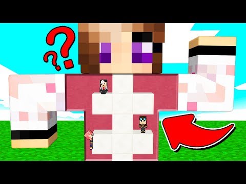 NASCONDINO NEL CORPO DI ANNA SU MINECRAFT!
