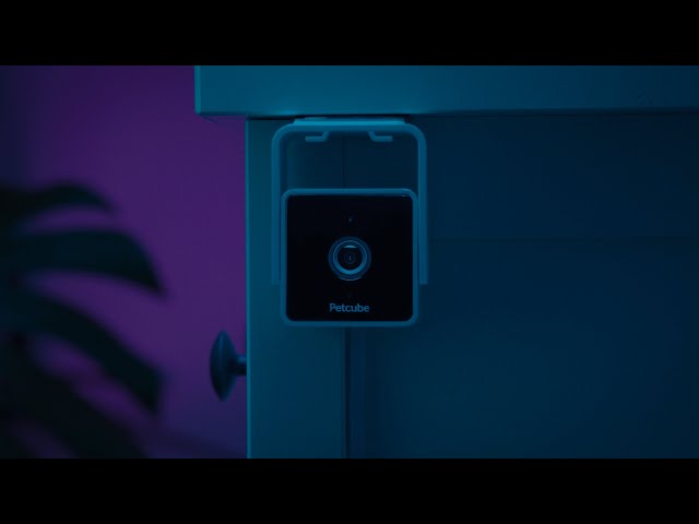 Introducing Petcube Cam - All-new Affordable Pet Camera With a Built-in Vet Chat